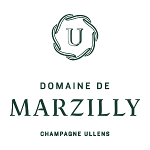 Logo Domaine de Marzilly