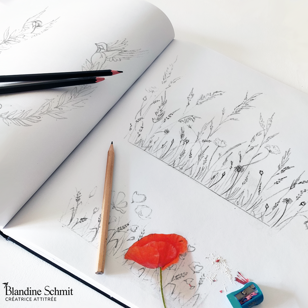 Illustration crayon mine fleur des champs et coquelicots